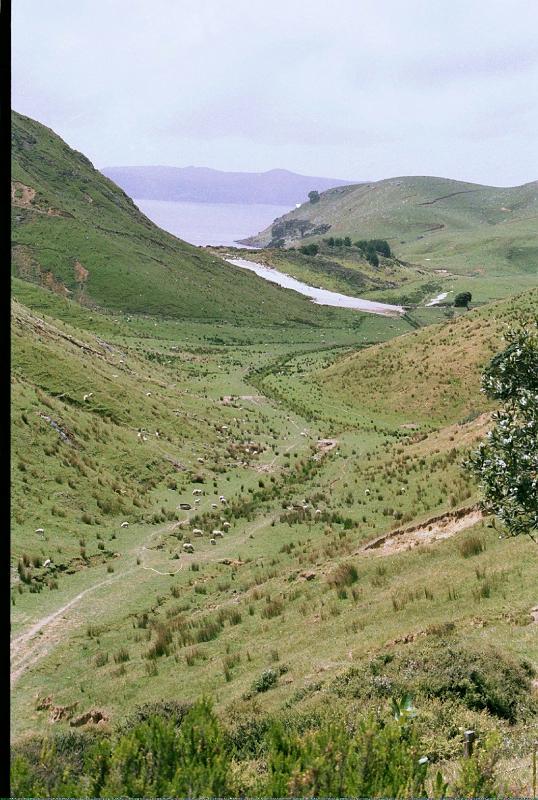 Australien392