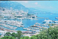 Cannes057