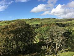 Grossbritannien0797