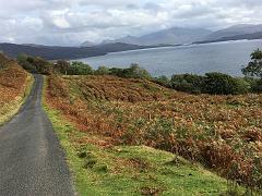 Grossbritannien0874