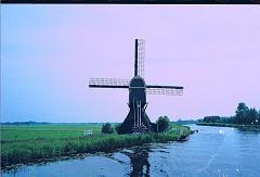 Holland046