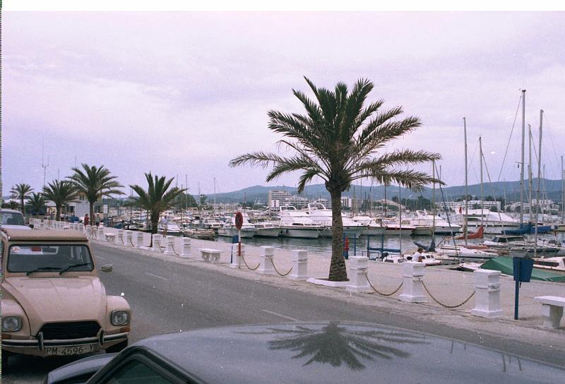 Ibiza100