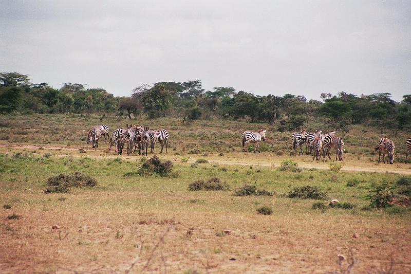 Kenia009