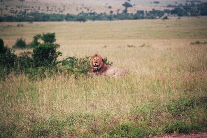 Kenia073