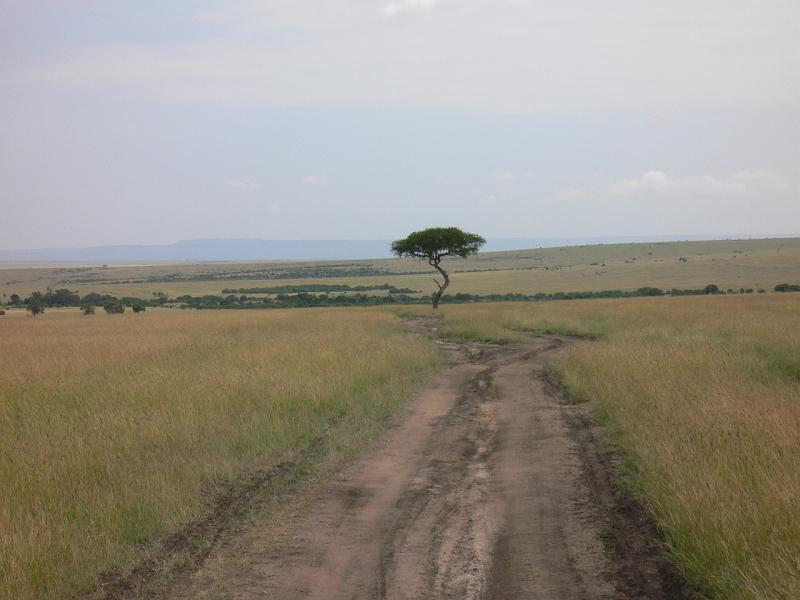 Kenia209