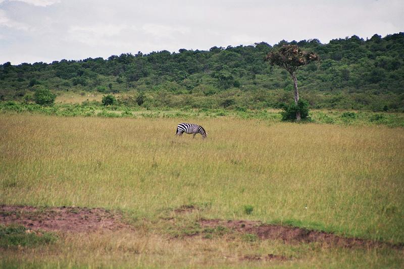 Kenia229