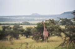 Kenia014