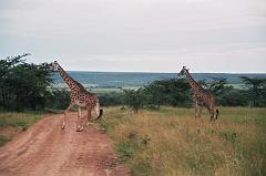 Kenia015