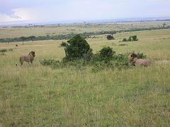 Kenia061