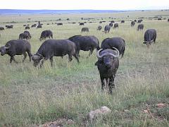 Kenia286