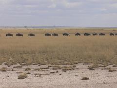 Kenia550