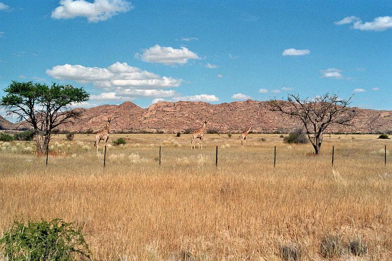 Namibia0044