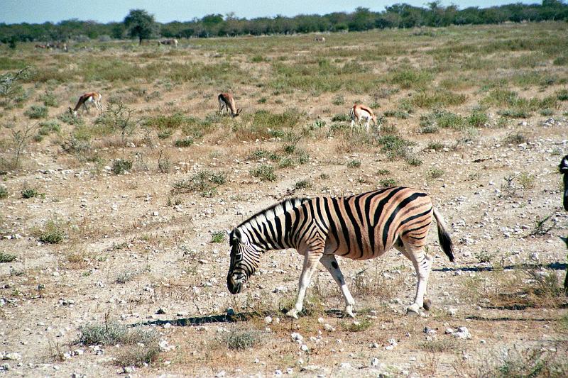 Namibia0167