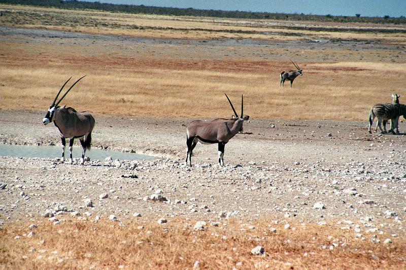 Namibia0171