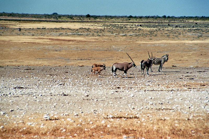 Namibia0172