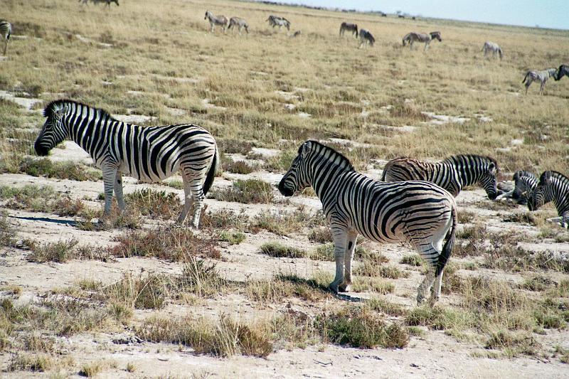 Namibia0174