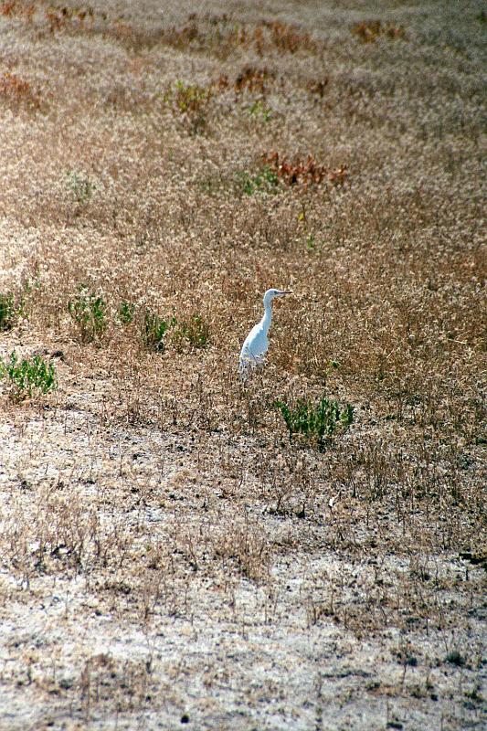 Namibia0178