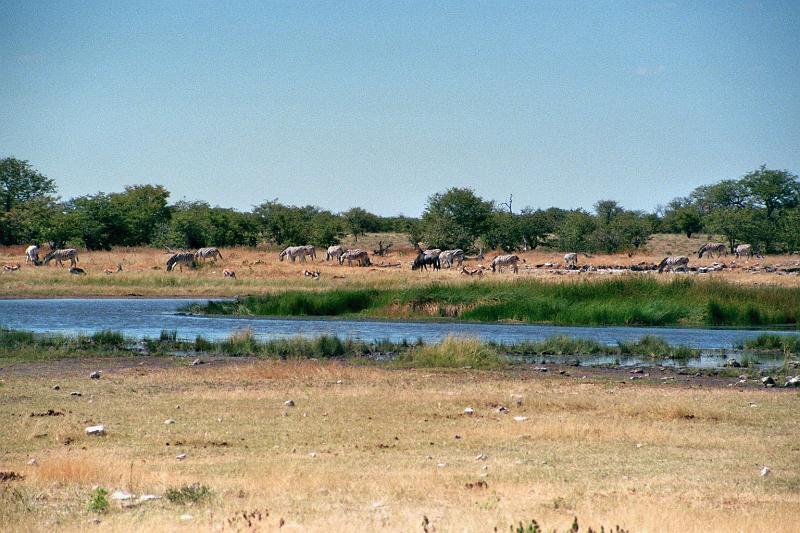 Namibia0179