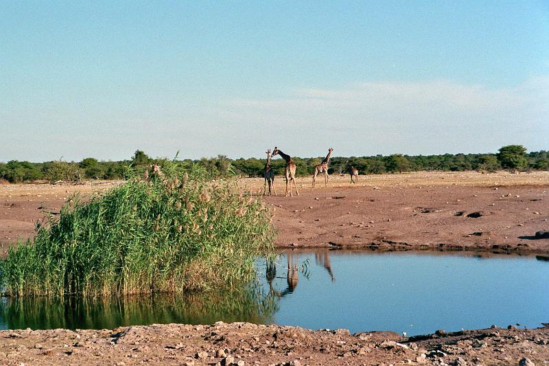 Namibia0189