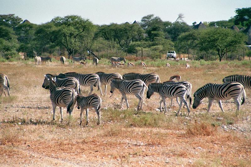 Namibia0190