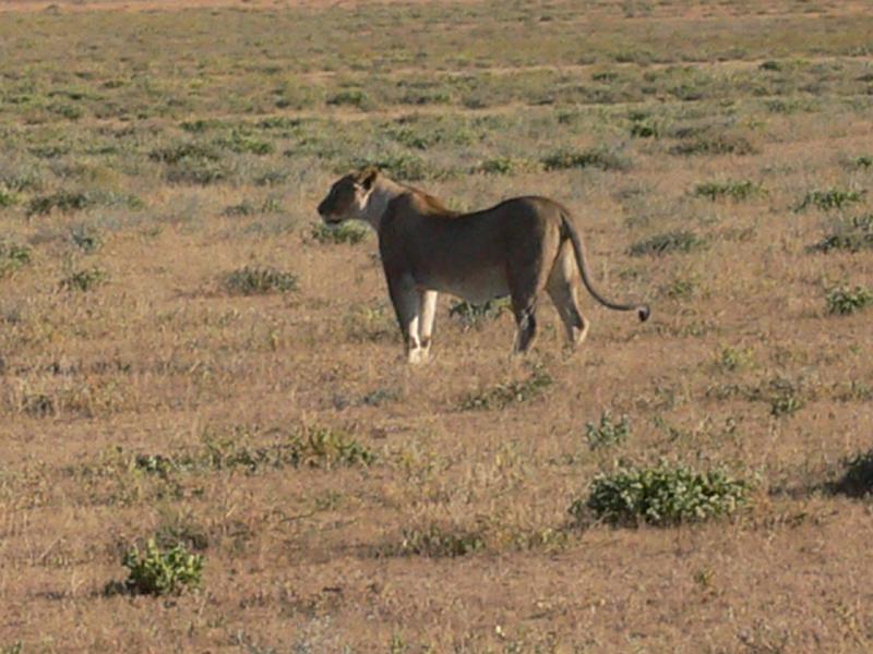 Namibia0209