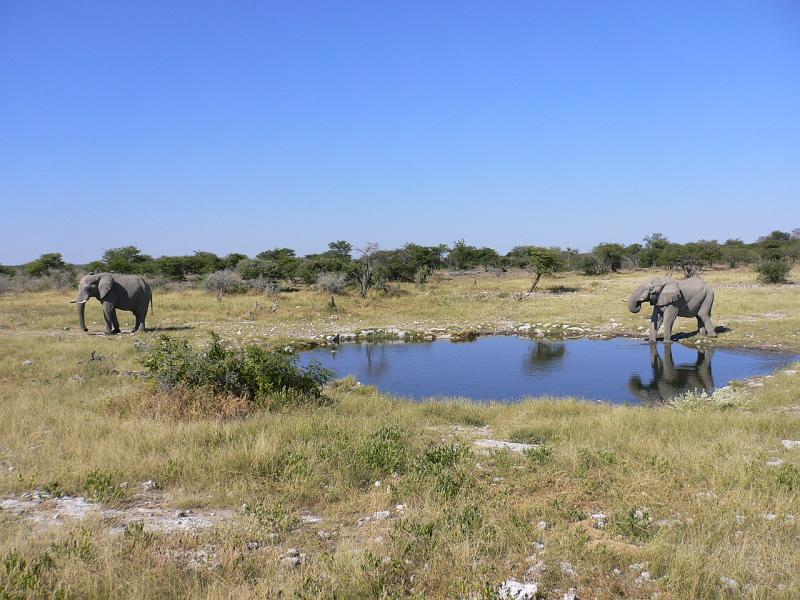 Namibia0232