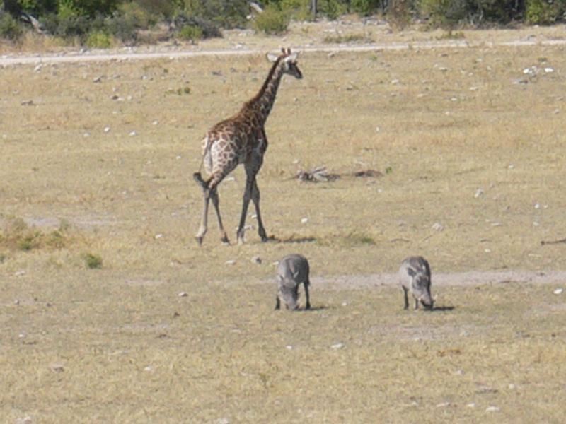 Namibia0246