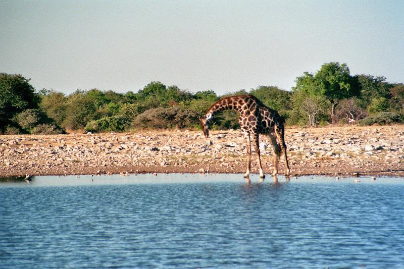 Namibia0250