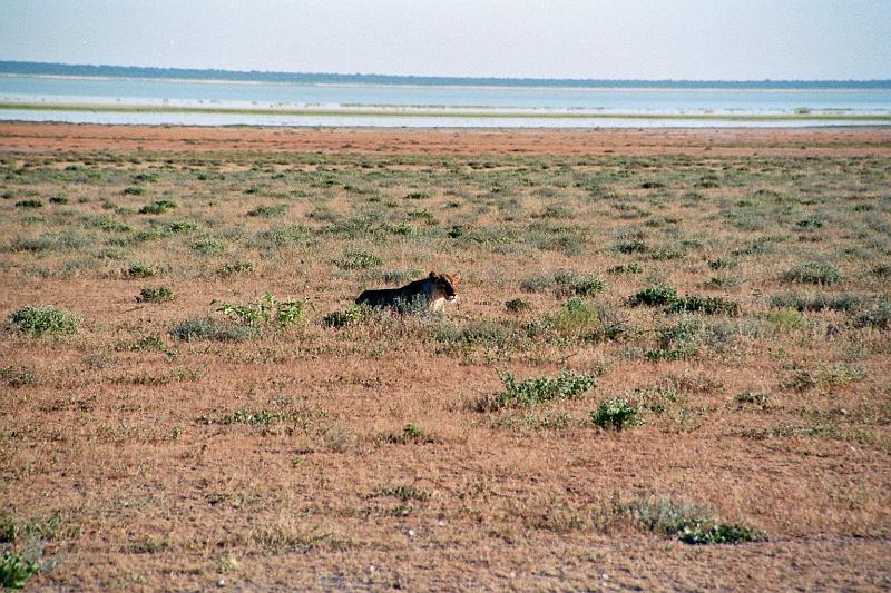 Namibia0254