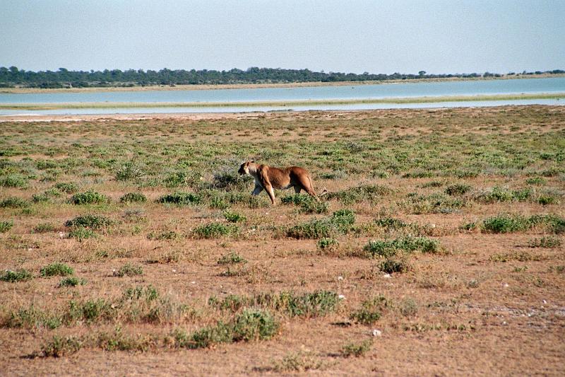 Namibia0255