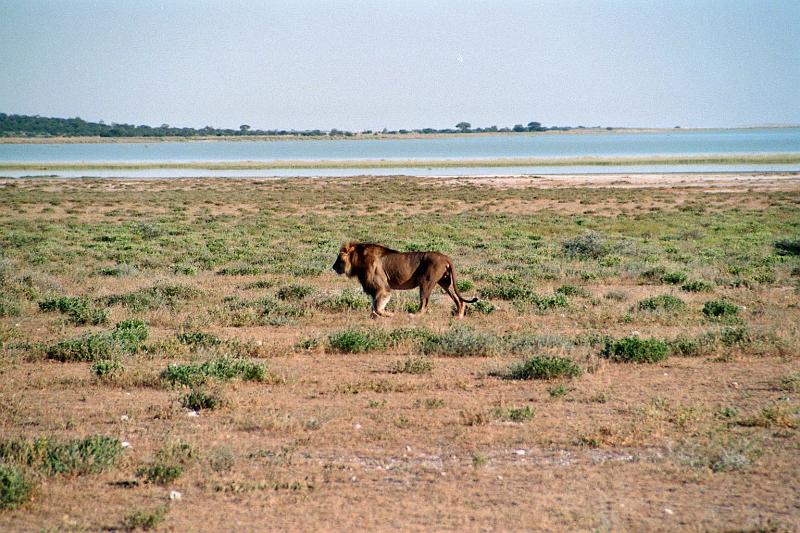 Namibia0256