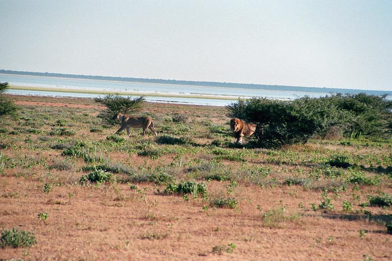 Namibia0260