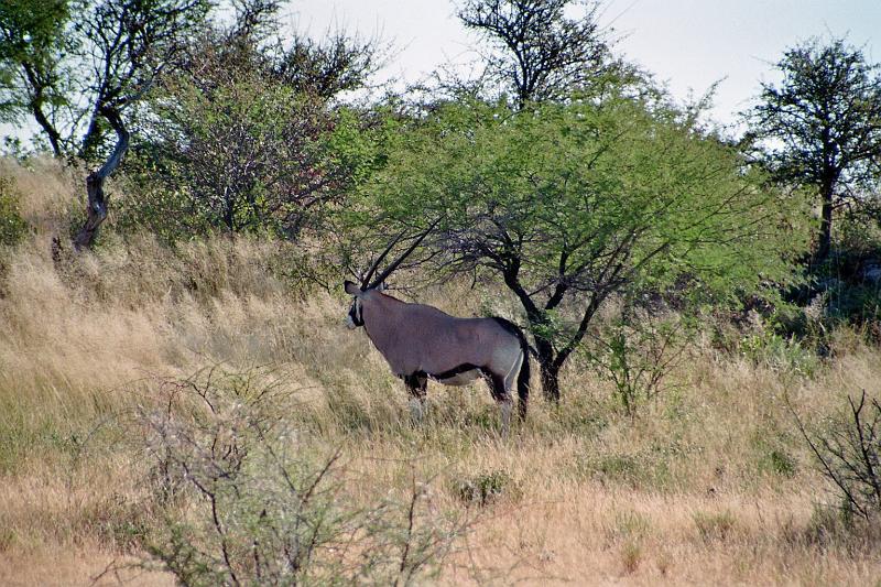 Namibia0266