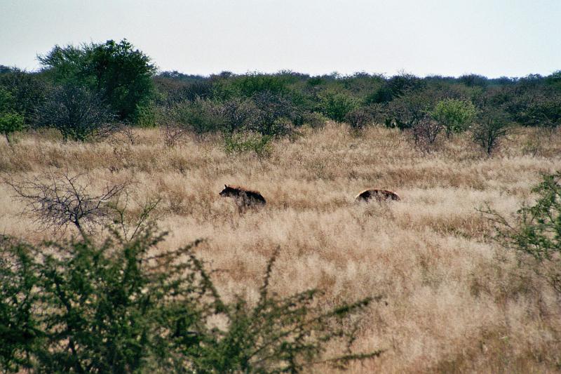 Namibia0267