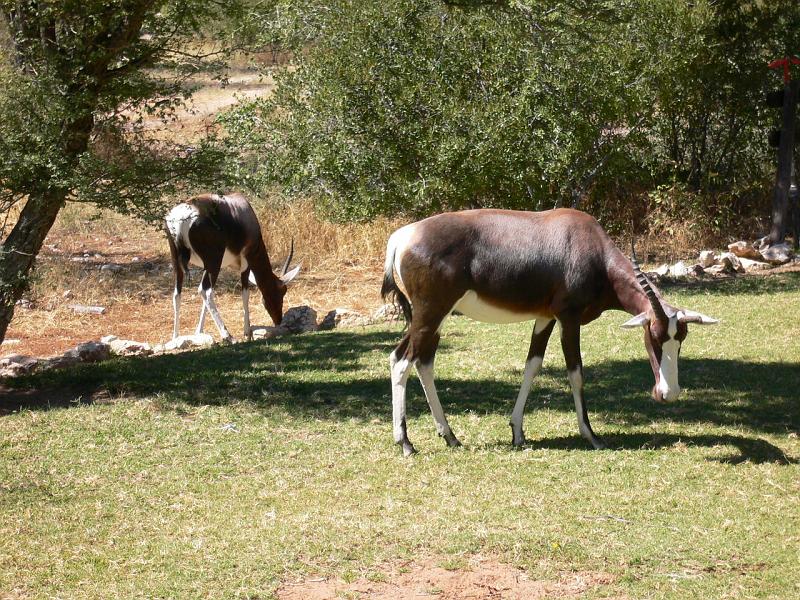 Namibia0281