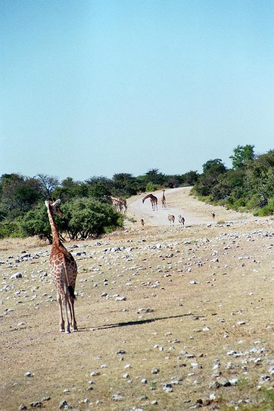 Namibia0283