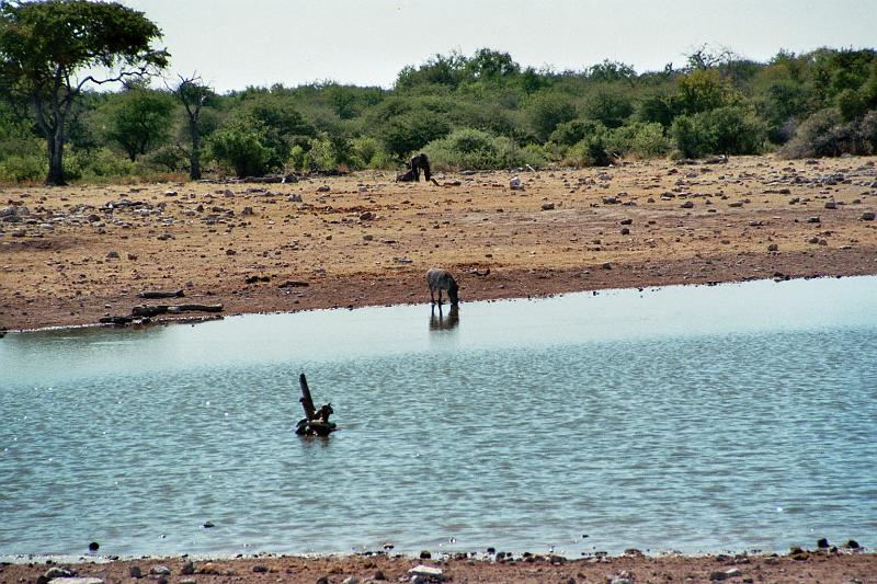 Namibia0285