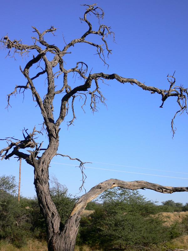 Namibia0309