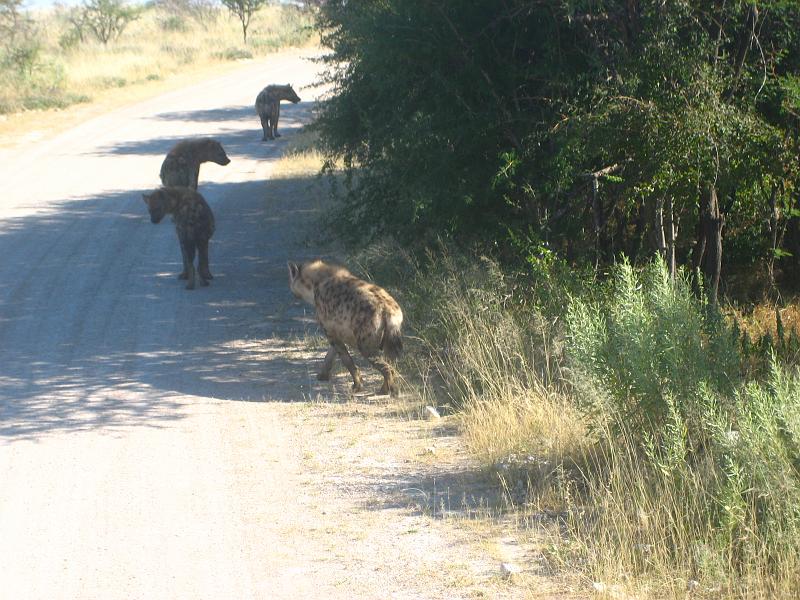 Namibia0325