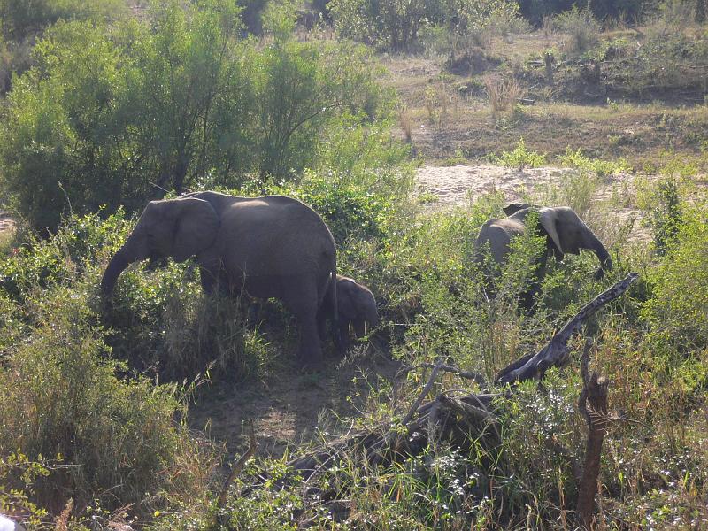 Suedafrika0061