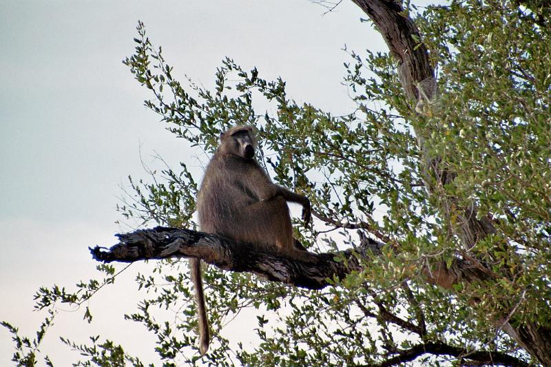 Suedafrika0076