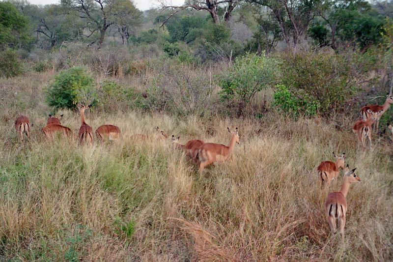 Suedafrika0080