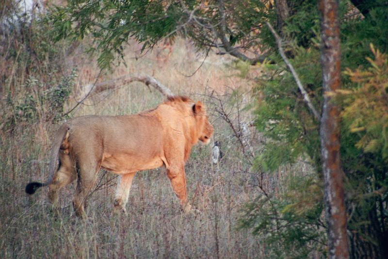 Suedafrika0085