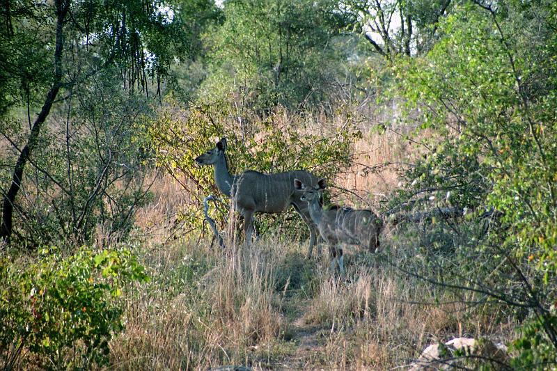 Suedafrika0102