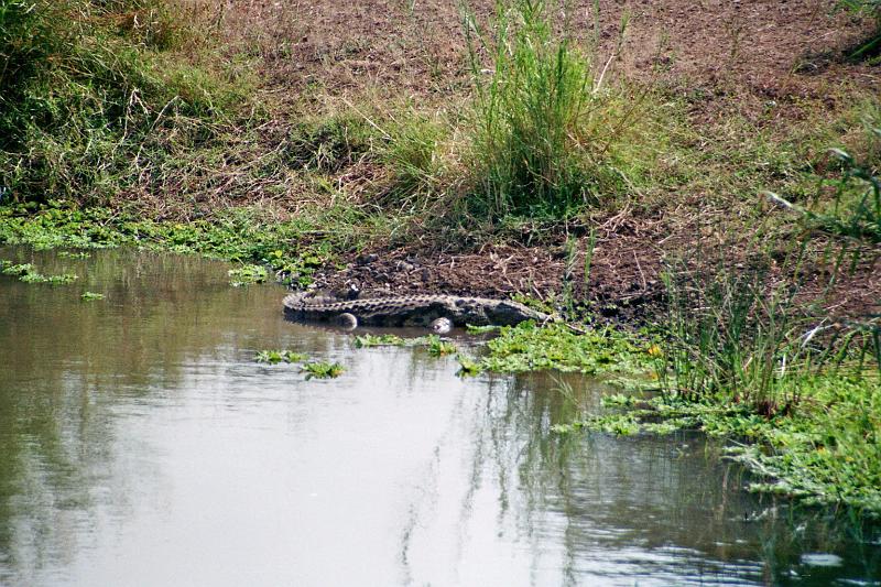 Suedafrika0123