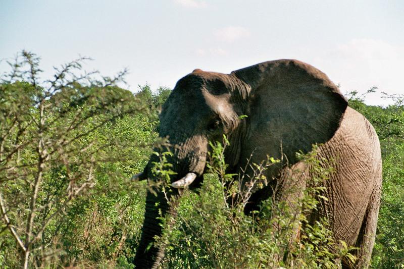 Suedafrika0155