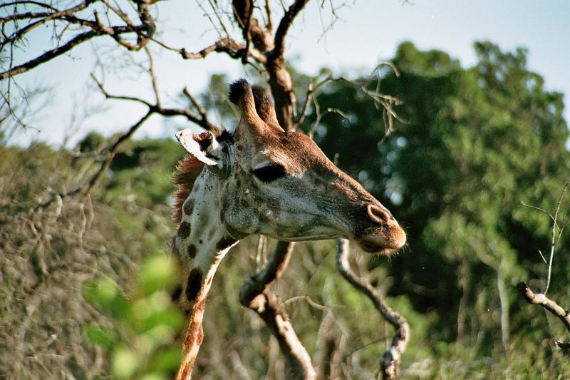 Suedafrika0157