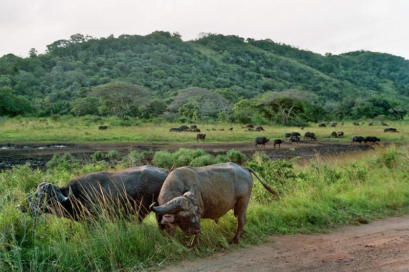 Suedafrika0160