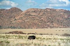 Namibia0049