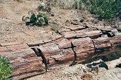 Namibia0117